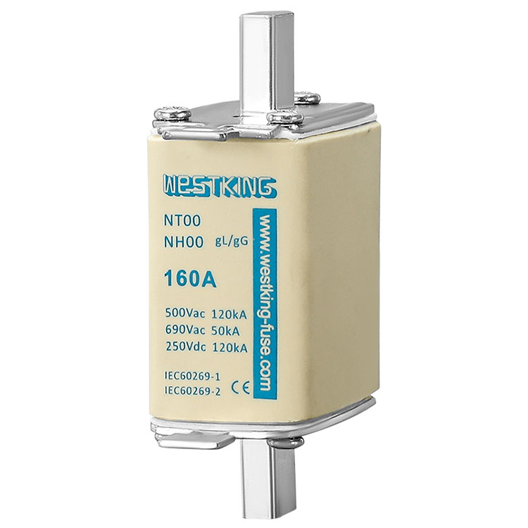 Why Is Iec Low Voltage Fuse Called the 